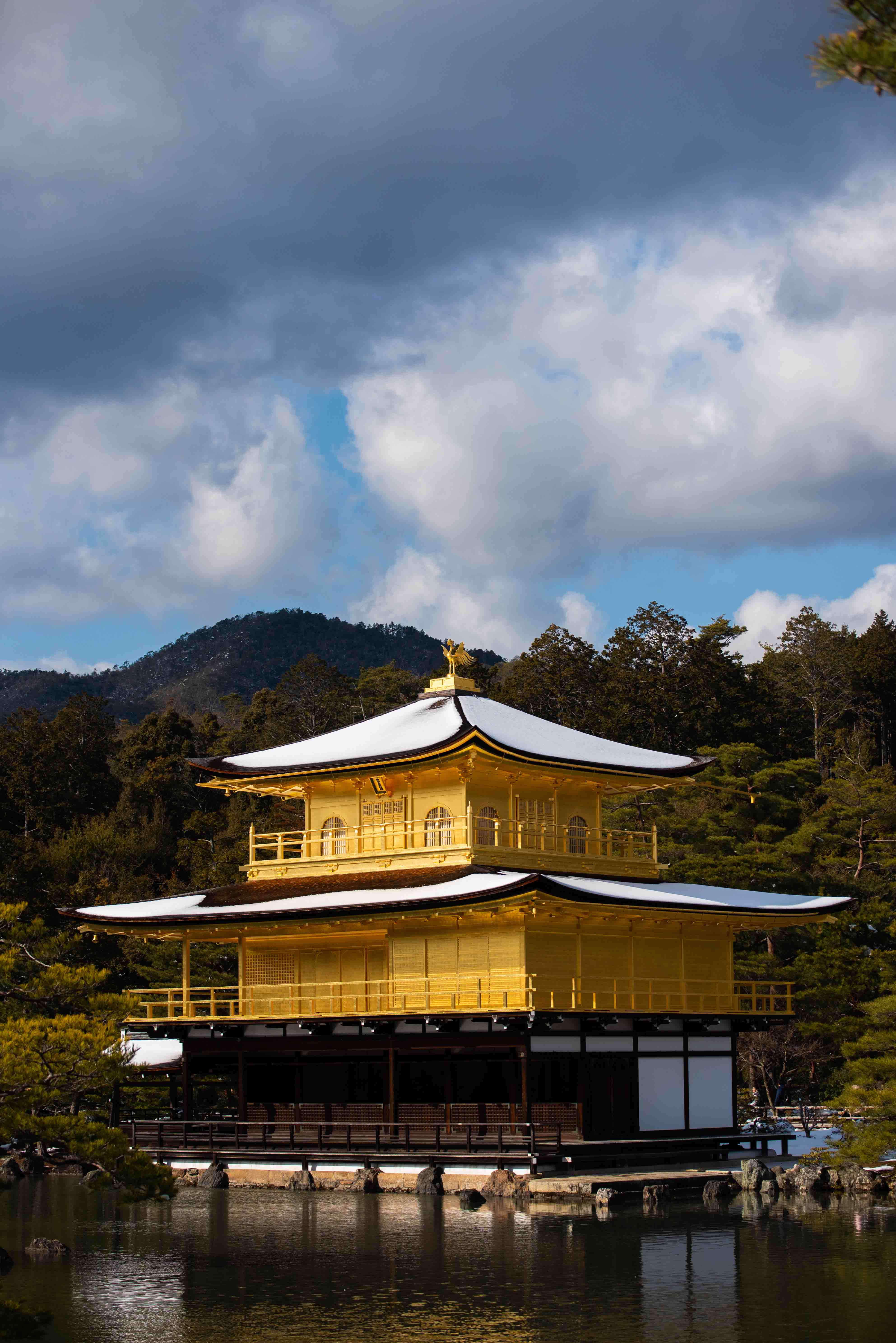 Nara Park hill covered half-way in snow